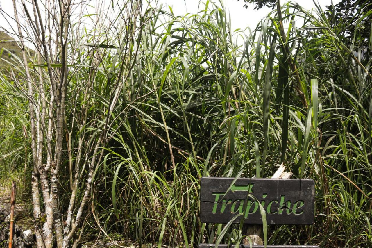 Hosteria El Trapiche Lodge & Spa Banos  Luaran gambar